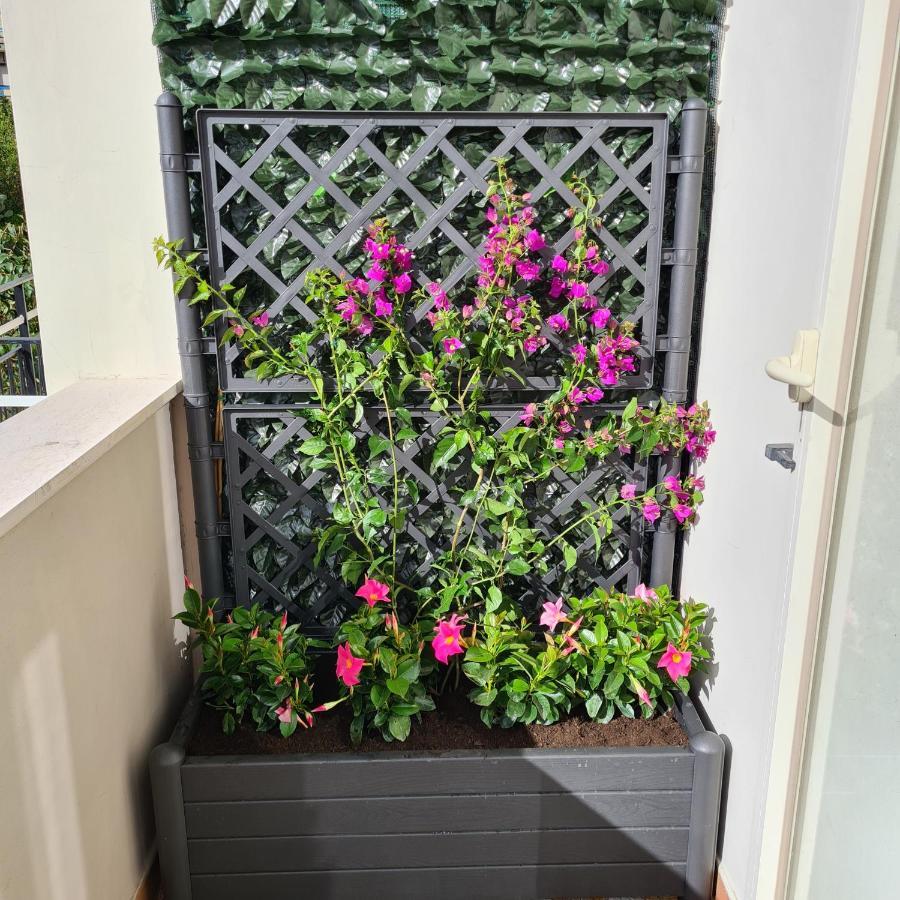 Maison Flavia Sorrento Exteriér fotografie